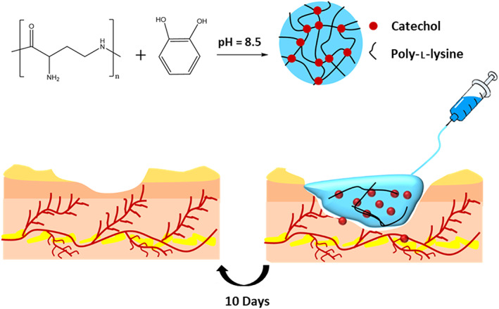 FIGURE 20