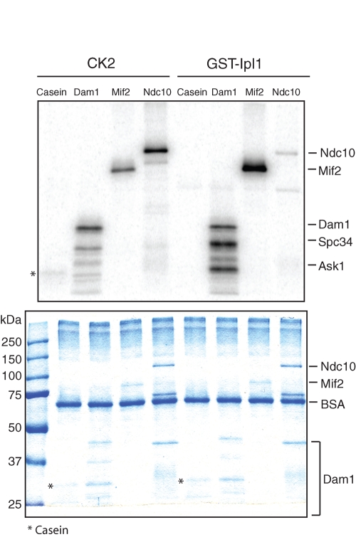 FIGURE 3: