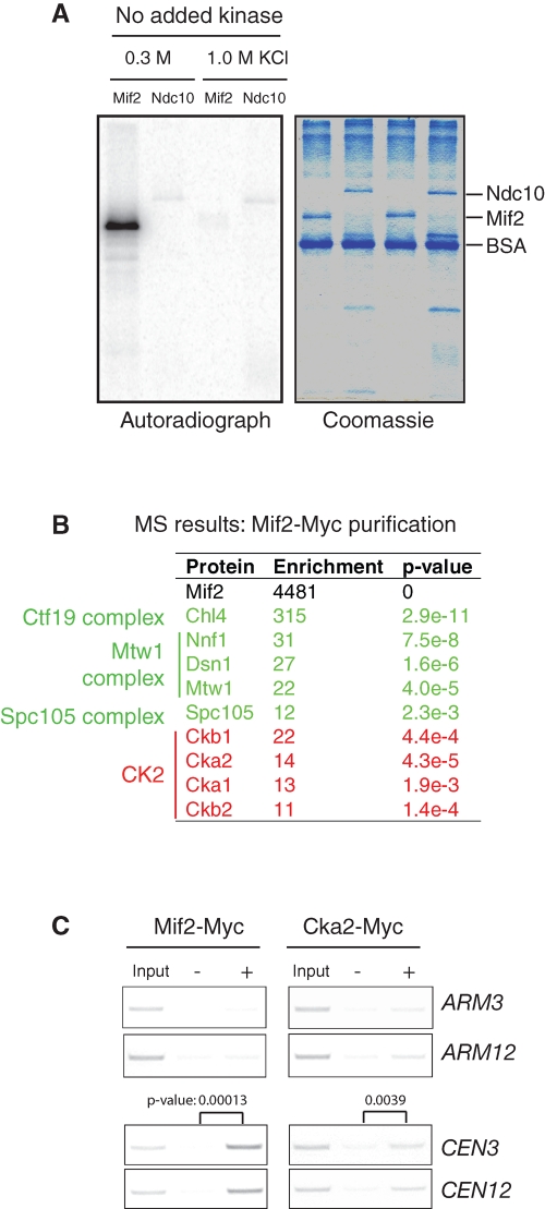 FIGURE 1: