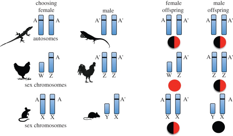 Figure 2.