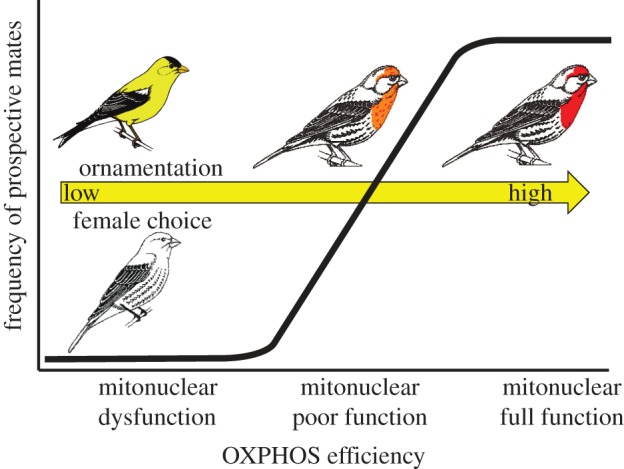 Figure 1.