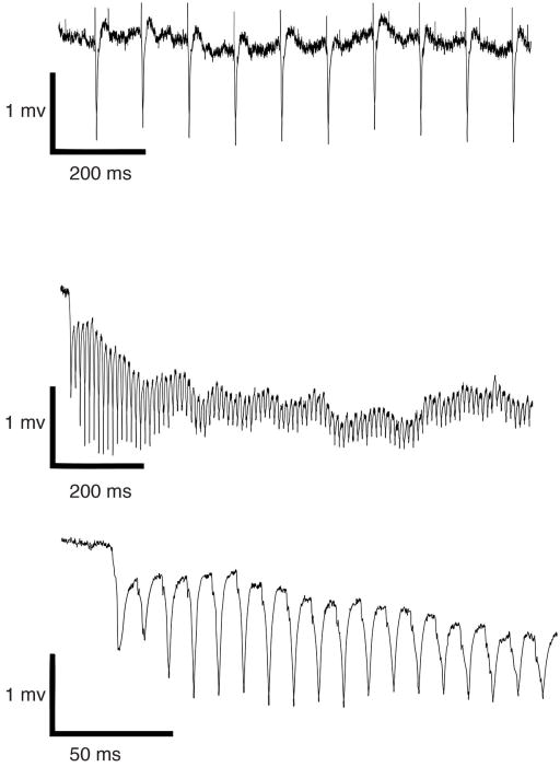 Extended Data Figure 2