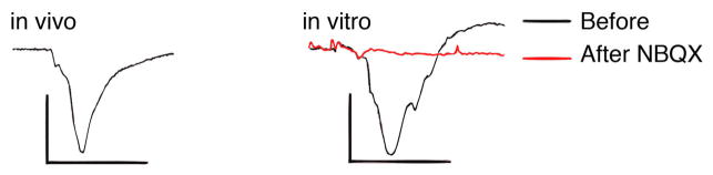 Extended Data Figure 9