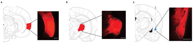 Extended Data Figure 3