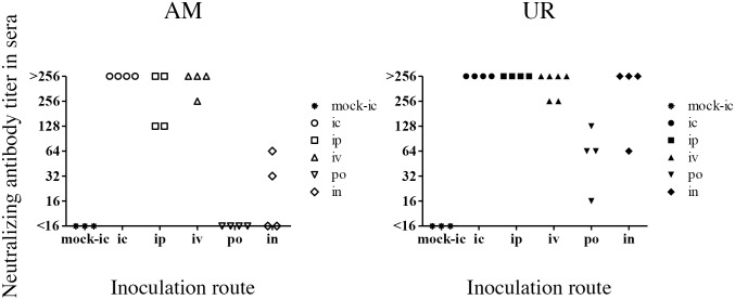 Fig 10