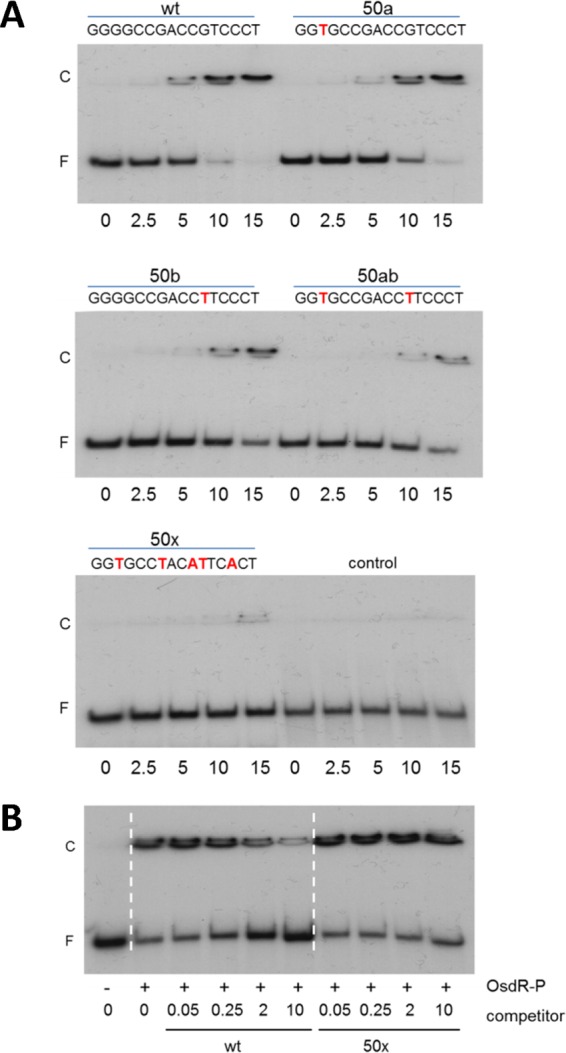 FIG 3 