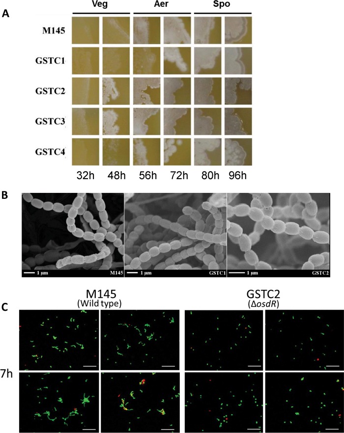 FIG 6 