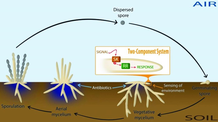 FIG 1 