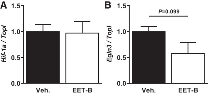 Fig. 9.