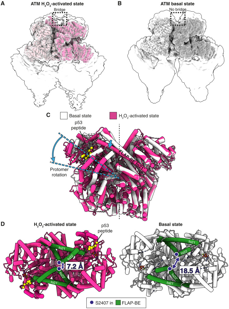 Fig. 1.