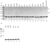 Fig. (2)