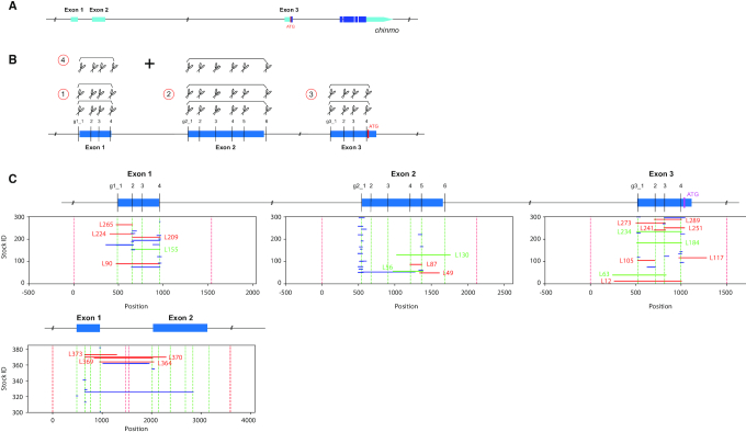 Figure 3.