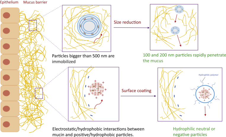 Figure 4