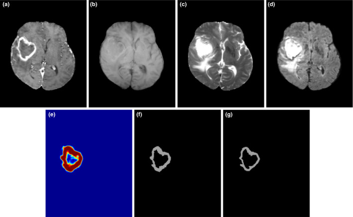 Figure 6