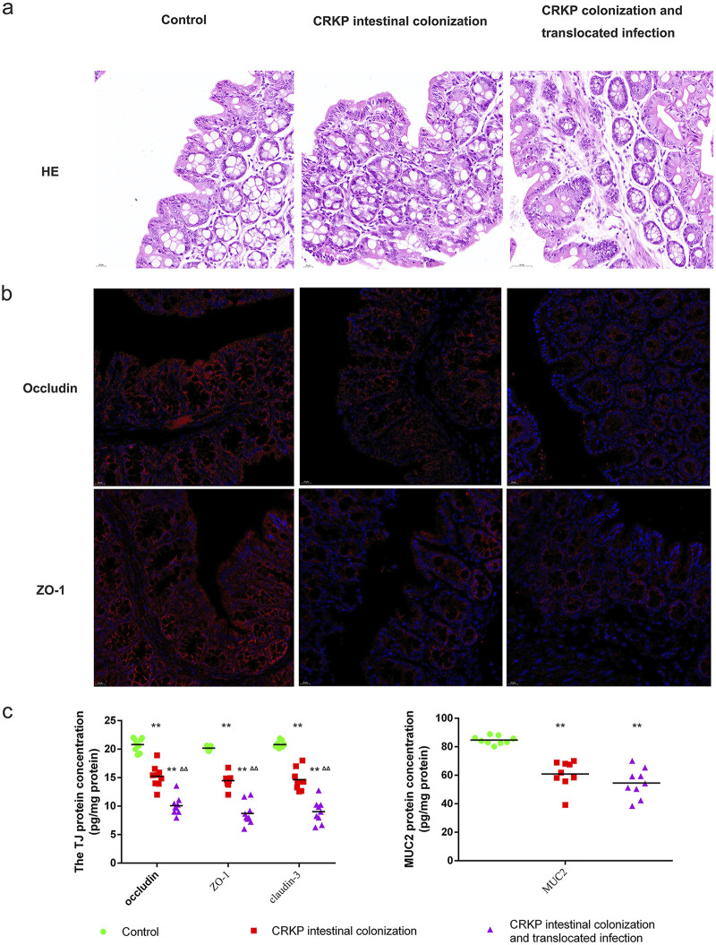 FIG 4