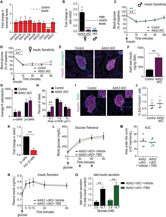 Figure 1—figure supplement 1.