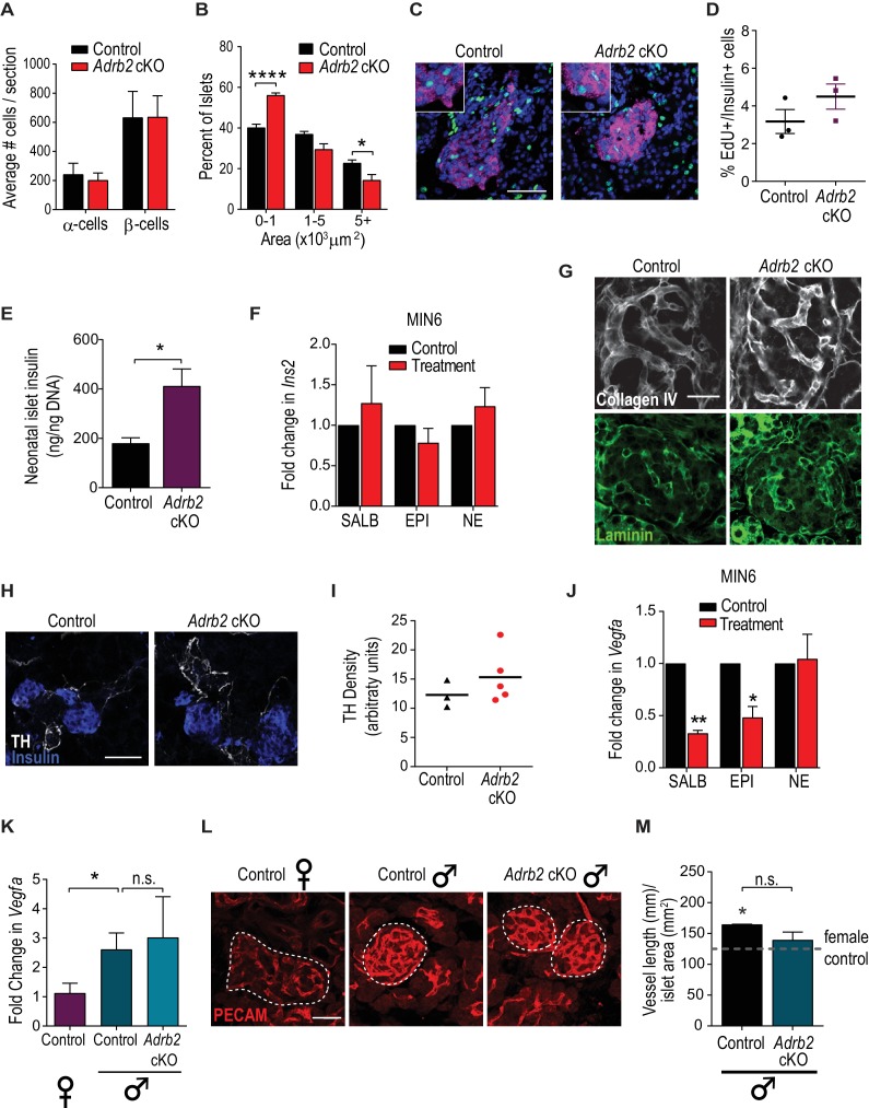 Figure 2—figure supplement 1.