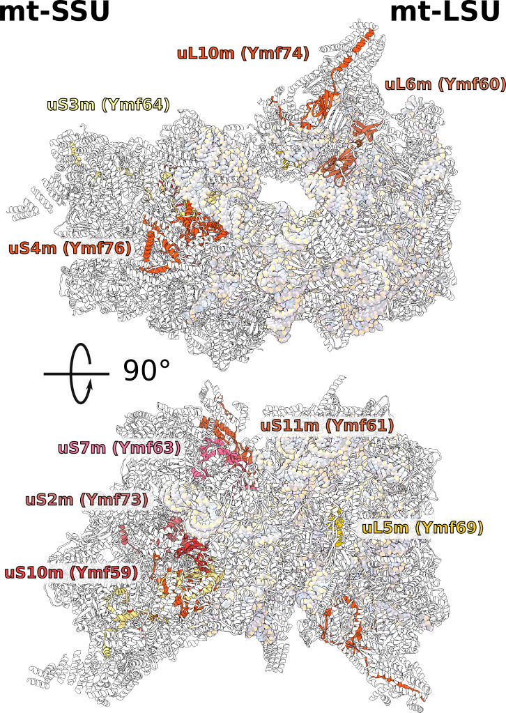 Figure 1—figure supplement 2.