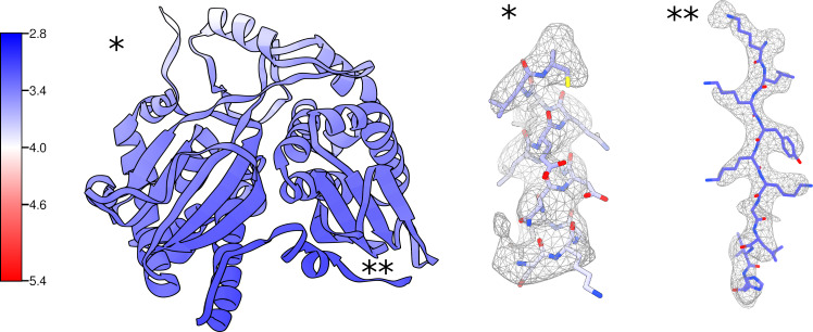 Figure 3—figure supplement 1.