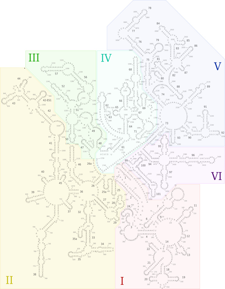 Figure 1—figure supplement 4.