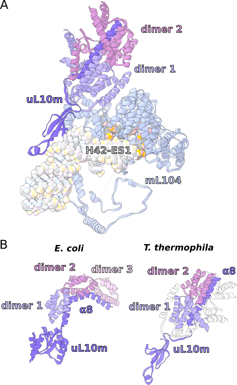 Figure 6—figure supplement 1.