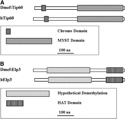 Figure 1.—