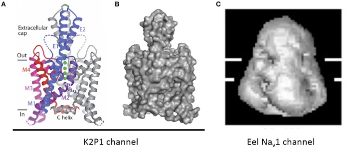 Figure 12