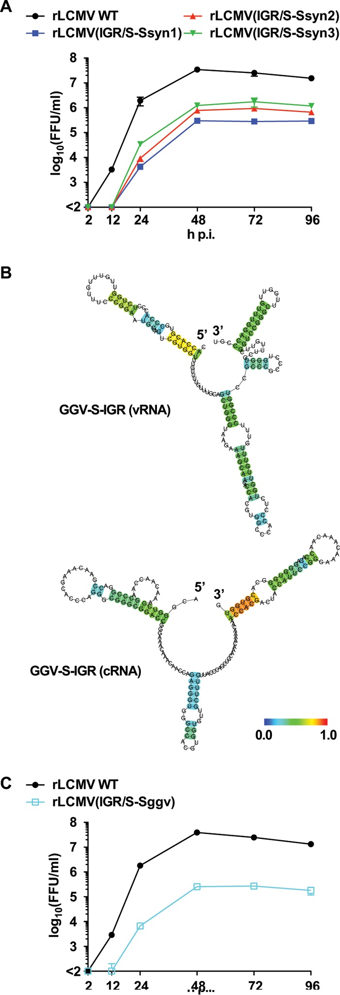 FIG 5