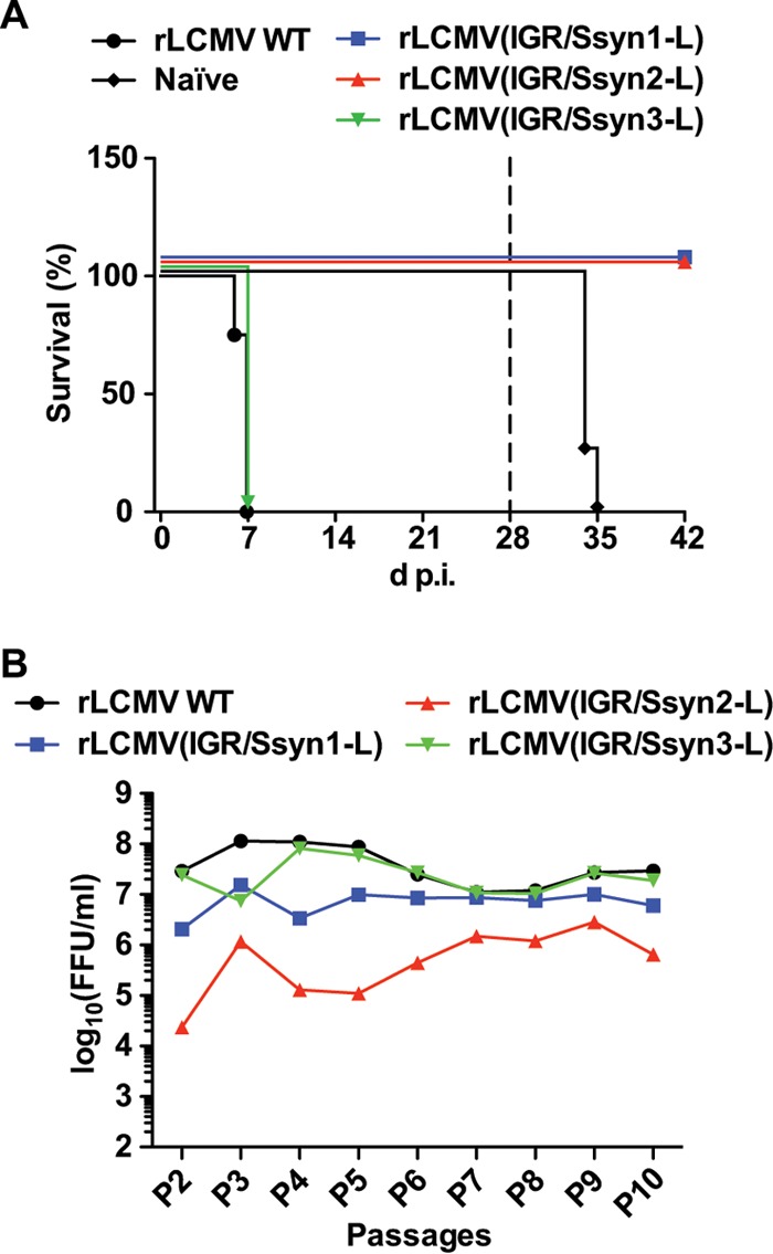 FIG 4