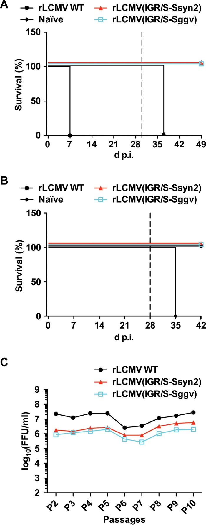 FIG 7