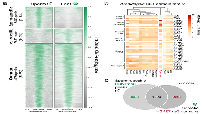 Extended Data Fig. 6