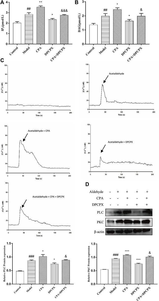 FIGURE 9