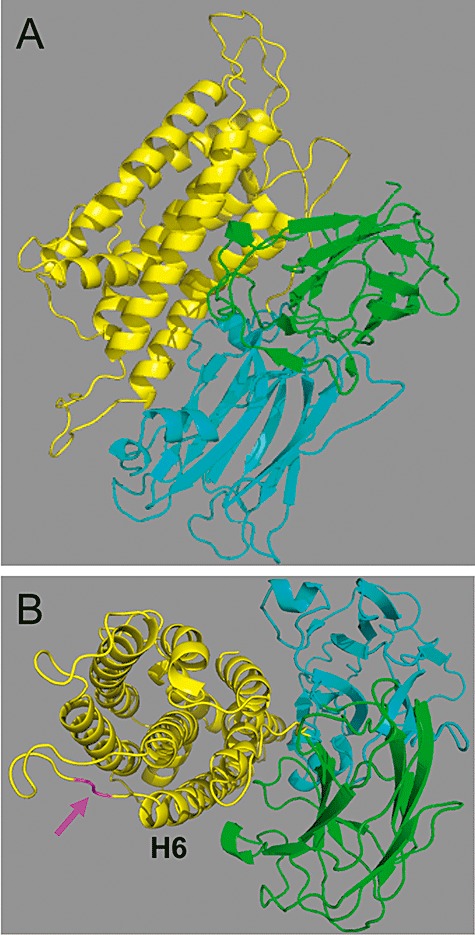 Fig. 1