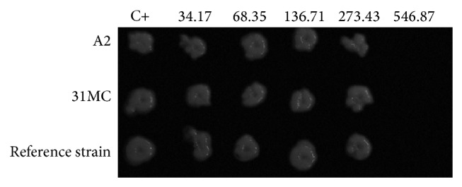 Figure 3