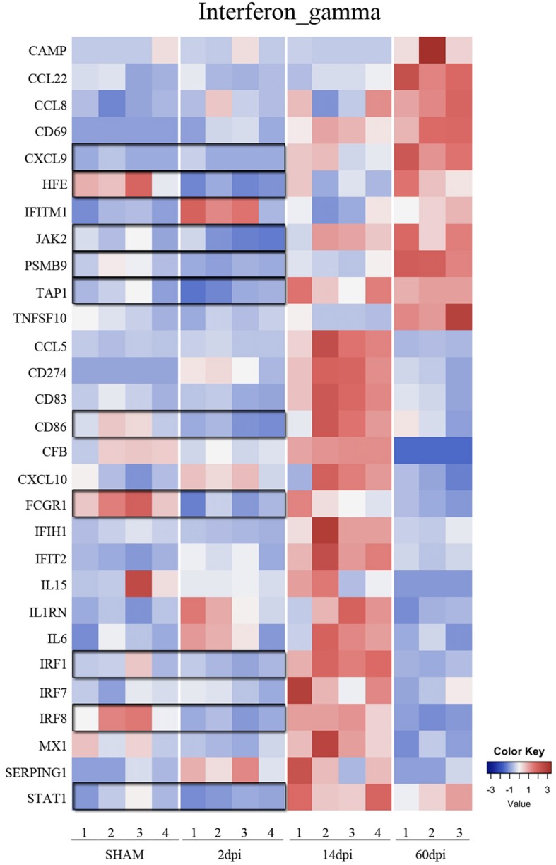 FIGURE 4