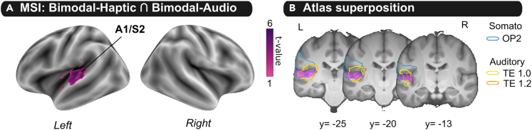 Figure 4