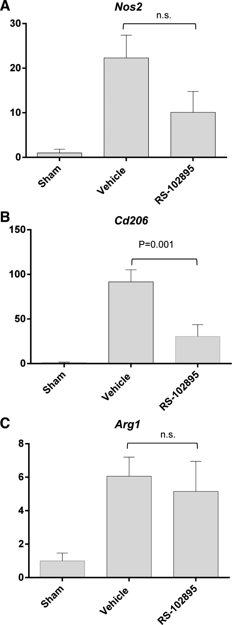 Fig. 12.