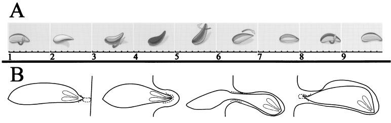 FIG. 5.