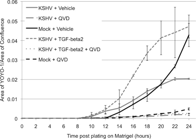 FIG 3