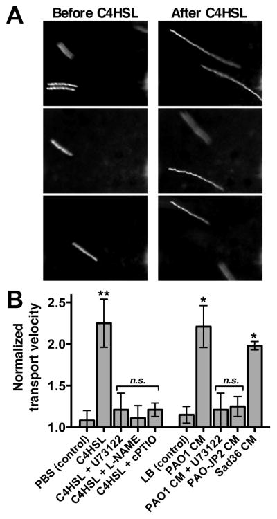 Fig. 6