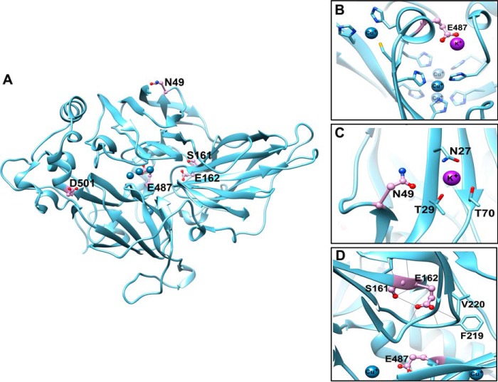 FIGURE 5.