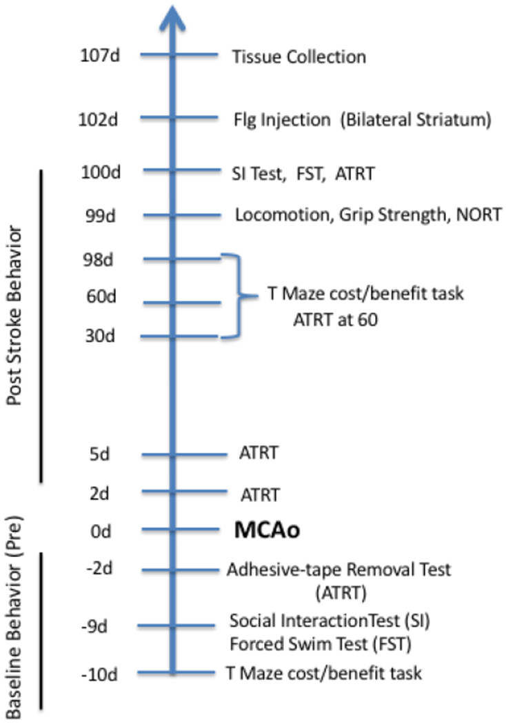 Fig 1: