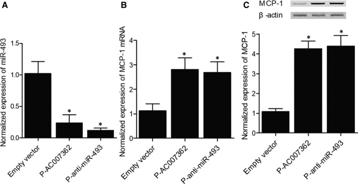 FIGURE 3