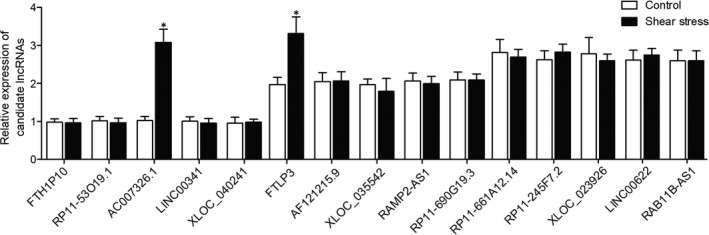 FIGURE 1