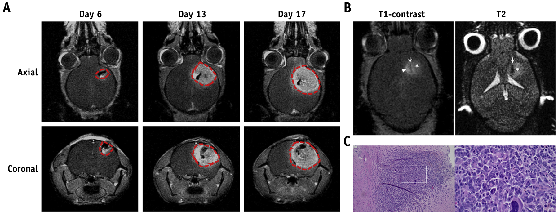 Figure 2.