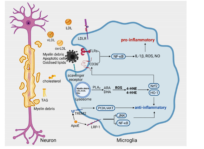 Fig. (3)