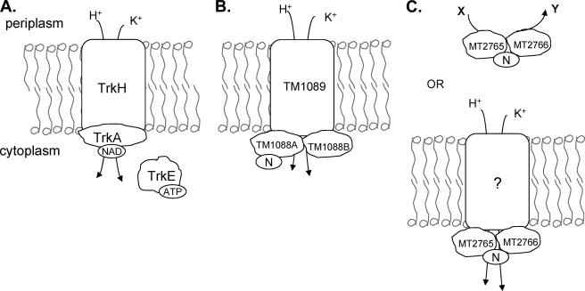 FIG. 5.