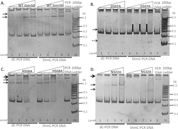 Figure 5