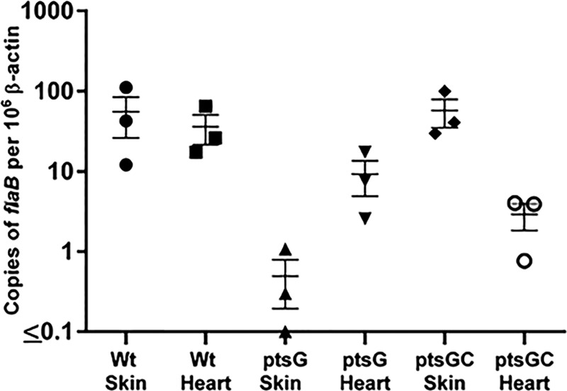 FIG 3