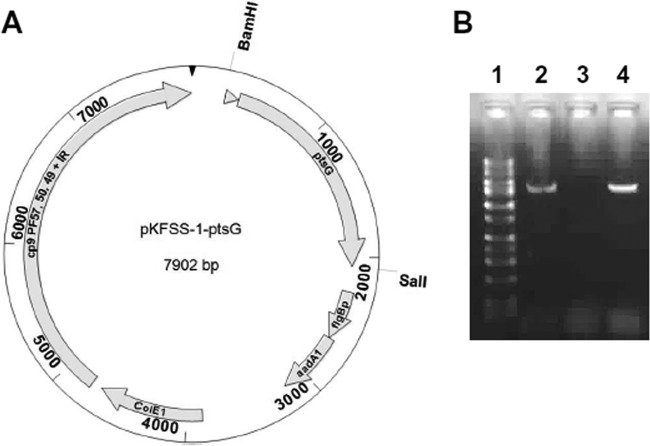 FIG 2